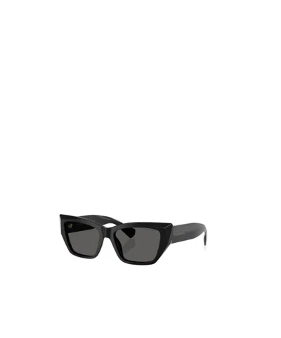 Tiffany & Co Full Frame Sunglasses In Black