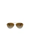Tiffany & Co Full Frame Sunglasses In Brown