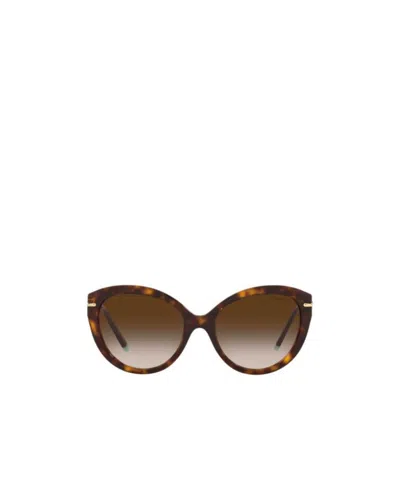 Tiffany & Co Logo Sunglasses In Multicolor