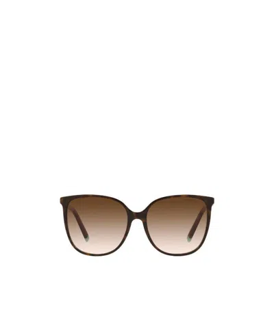 Tiffany & Co Logo Sunglasses In Nude