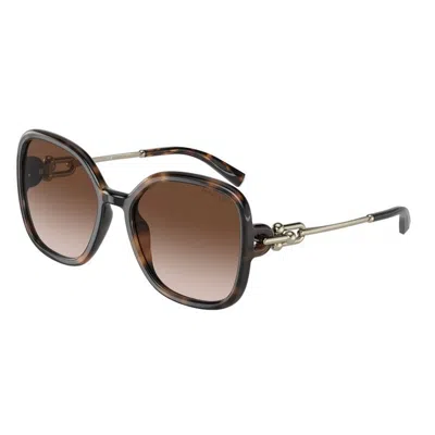 Tiffany & Co Luxurious Havana Sunglasses For Women In Brown