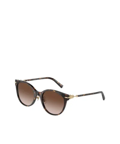 Tiffany & Co Tiffany  Co. Panthos Frame Sunglasses In Black