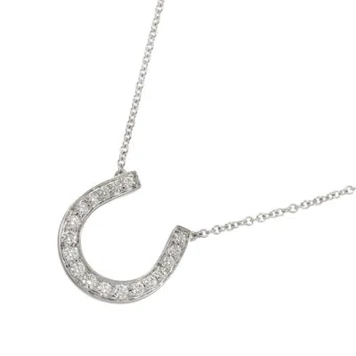 Pre-owned Tiffany & Co Platinum 950 Necklace () In Multi