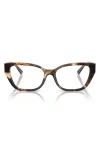 Tiffany & Co . 52mm Cat Eye Optical Glasses In Brown Havana