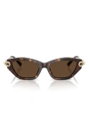 Tiffany & Co . 53mm Cat Eye Sunglasses In Havana/light Brown