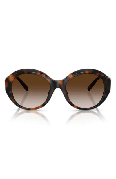 Tiffany & Co . 53mm Gradient Round Sunglasses In Brown