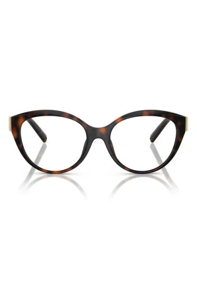 Tiffany & Co . 54mm Cat Eye Optical Glasses In Havana