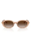 Tiffany & Co Acetate Oval Tf4242d Sunglasses