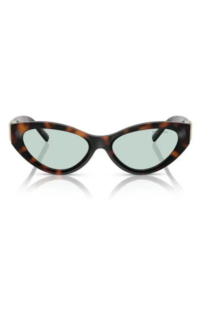 Tiffany & Co . 54mm Oval Sunglasses In Havana