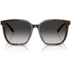Tiffany & Co . 56mm Gradient Square Sunglasses In Havana/grey Gradient