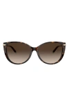 Tiffany & Co Tf4178 Cat-eye Frame Acetate Sunglasses In Havana/brown Gradient