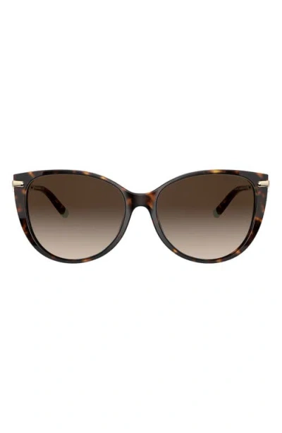 TIFFANY & CO TIFFANY & CO. 57MM GRADIENT CAT EYE SUNGLASSES