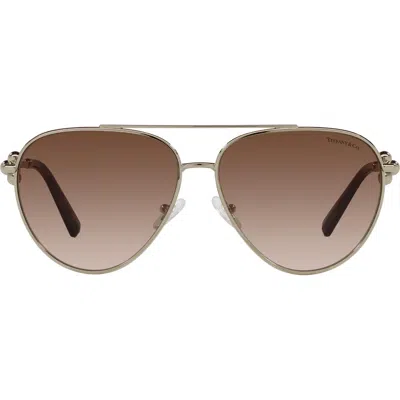 Tiffany & Co . 59mm Gradient Pilot Sunglasses In Brown
