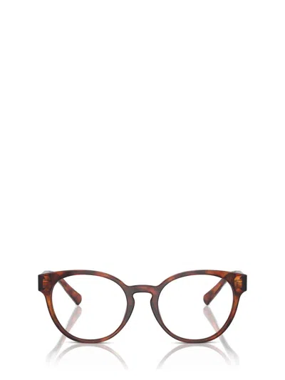 Tiffany & Co . Eyeglasses In Brown