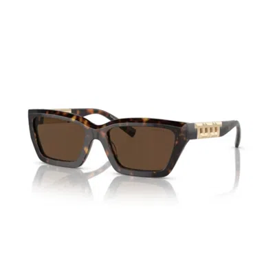 Tiffany & Co . Rectangle Frame Sunglasses In Multi