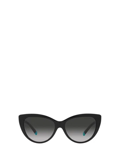 Tiffany & Co Logo Sunglasses In Black