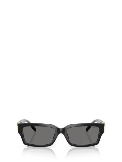 Tiffany & Co . Sunglasses In Black