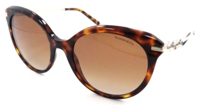 Pre-owned Tiffany & Co Sunglasses Tf 4189b 80023b 55-19-140 Havana / Brown Gradient Italy