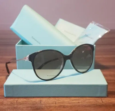 Pre-owned Tiffany & Co . Tf 4127 8134/3b Havana/blue & Brown Sunglasses