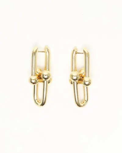 Tiffany & Co Tiffany Hardwear Large Link Earrings