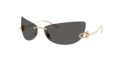 Tiffany & Co . Woman Sunglasses Tf3112k In Dark Gray