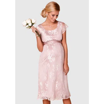 Tiffany Rose Maternity April Nursing Dress In Pink