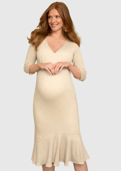 Tiffany Rose Maternity Stella Maternity Dress In Multi