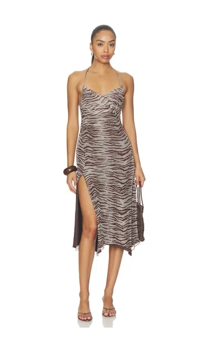 Tiger Mist Arden Dress In Neutral Zebra