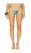 Tiger Mist Ave Bikini Bottom In Multi