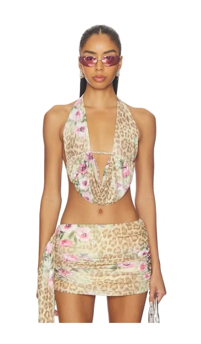 Tiger Mist Risa Top In Brown