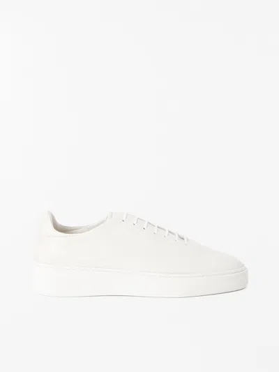 Tiger Of Sweden Elvit Classic Sneakers In White