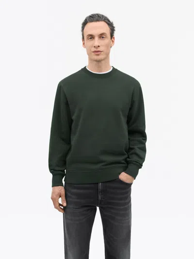 Tiger Of Sweden Emerson Jersey Cotton Sweater In Green