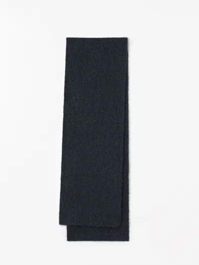 Tiger Of Sweden Erlinia Rws Mohair Scarf In Blue