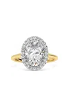 Tilla 14k Yellow Gold Oval Lab-grown Diamond Halo Ring In Gold