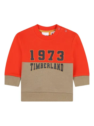 Timberland Babies' 1973 Colour-block Sweatshirt In Multi