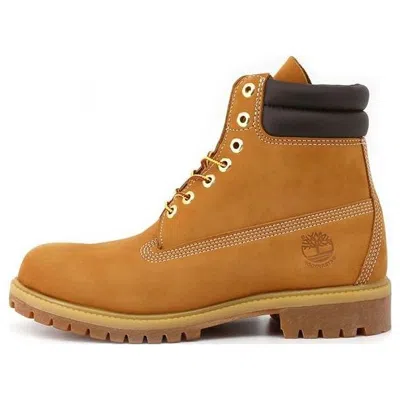 Timberland 6 Inch Double Collar Boot 'what Nubuck' In Multi