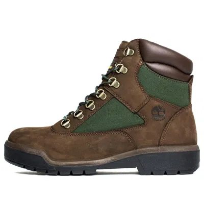 Timberland 6 Inch Field Boot 'beef And Broccoli' In Brown