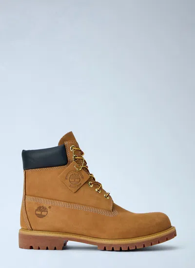 Timberland 6 Inch Lace Up Waterproof Boots In Brown