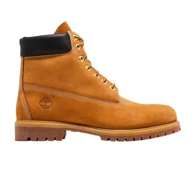 Pre-owned Timberland 6 Inch Premium Boot 'wheat' In Brown