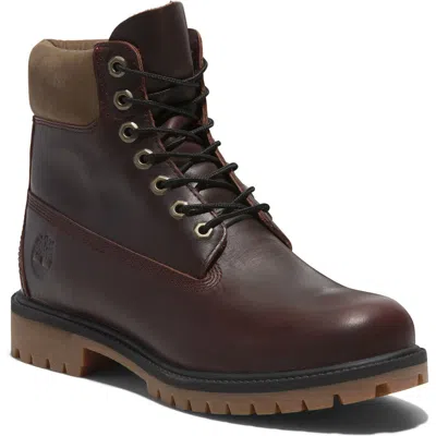 Timberland 6-inch Premium Waterproof Boot In Burgundy