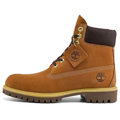 Timberland 6 Inch Premium Waterproof Boot 'rust Suede' In Multi