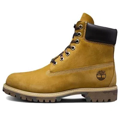 Timberland 6 Inch Premium Waterproof Boot 'wheat'