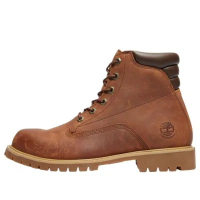 Timberland Alburn 6 Inch Waterproof 'mocha Bisque' In Brown