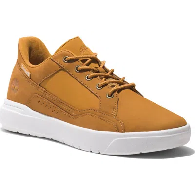 Timberland Allston Sneaker In Wheat Nubuck