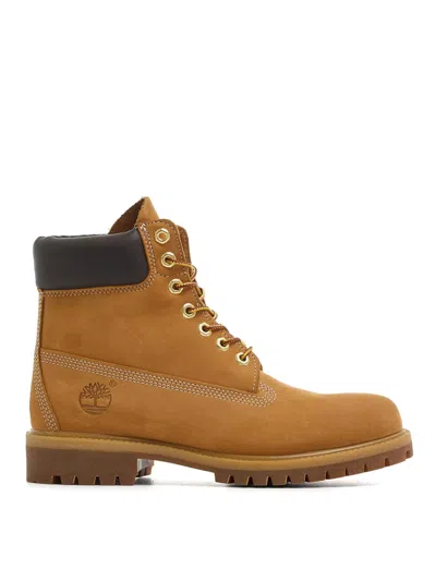 Timberland 6 Inch Boots In Brown
