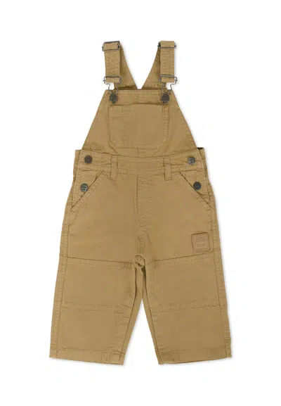 Timberland Beige Dungarees For Baby Boy With Logo In Brown