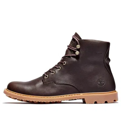 Timberland Belanger Ek+ 6 Inch Boot 'dark Brown' In Multi