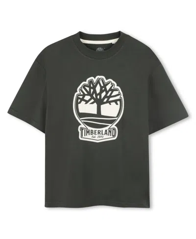Timberland Kids' Big Boys Short Sleeve T-shirt In Green