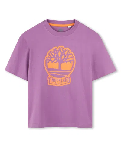 Timberland Kids' Big Boys Short Sleeve T-shirt In Raspberry