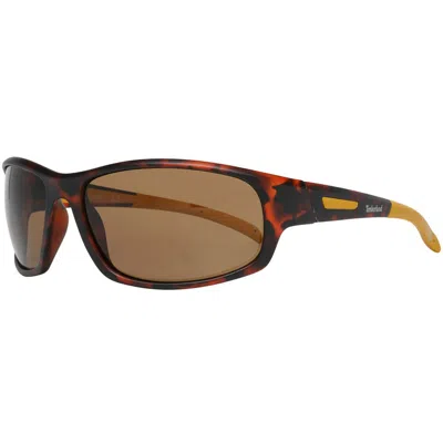 Timberland Blue Resin Sunglasses In Brown